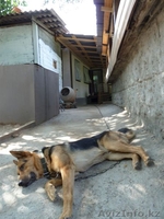 Зимний дом 12 соток - Изображение #8, Объявление #194592