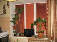 Гоголя - Наурызбай батыра - Изображение #2, Объявление #210503