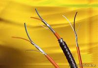 Кабельная продукция Belden - Изображение #2, Объявление #237981