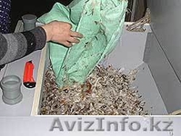 ЧИСТКА ПЕРЬЕВЫХ ПОДУШЕК! - Изображение #2, Объявление #248187