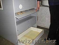 ЧИСТКА ПЕРЬЕВЫХ ПОДУШЕК! - Изображение #5, Объявление #248187