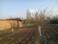 Отличный дом в Жаркенте - Изображение #9, Объявление #235983