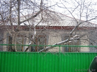 Продам дом в п.Боролдай из 4-х комнат - Изображение #2, Объявление #217708