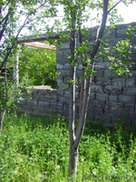 Дача в тураре находится  - Изображение #1, Объявление #241192