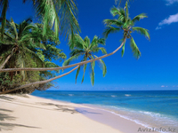 Фото-кафель  на заказ."Акция"  130у.е. за кв.м. - Изображение #8, Объявление #273470