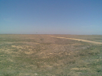 Аренда земельного участка сельхрзназначения - Изображение #1, Объявление #266501