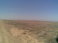 Аренда земельного участка сельхрзназначения - Изображение #2, Объявление #266501