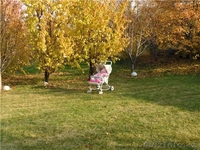 Акжар за Каменкой - Изображение #1, Объявление #257970