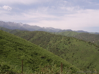 Срочно продам или обменяю дачу - Изображение #1, Объявление #289787