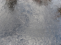 ВИР-оборудование - Изображение #5, Объявление #288567