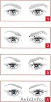 Коррекция бровей в зависимости от формы лица / оформление (выщипывание) - Изображение #4, Объявление #323970