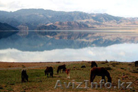 30 июля - День отправки в небо добрых мыслей! - Изображение #2, Объявление #324945