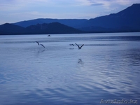 Боровое прекраснее любой сказки - Изображение #4, Объявление #316692