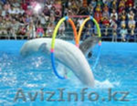 ДЕТСКИЙ И МОЛОДЕЖНЫЙ ЛАГЕРЬ в БОЛГАРИИ  “Delta Beach” - Изображение #1, Объявление #320950