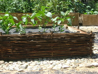 Ландшафтный дизайн, озеленение, благоустройство. - Изображение #3, Объявление #311385