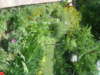 Ландшафтный дизайн, озеленение, благоустройство. - Изображение #5, Объявление #311385