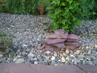 Ландшафтный дизайн, озеленение, благоустройство. - Изображение #7, Объявление #311385