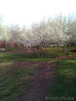 Продам дом в с/з Алатау От Аль-Фараби Розабакиева 1,5 км,от Казах-филь - Изображение #1, Объявление #325530