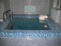  Отделка бассейна ПВХ пленкой (алькорплан).  - Изображение #2, Объявление #339246