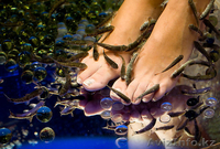 МАССАЖ 100% ПРОФЕССИОНАЛЬНО! - Изображение #1, Объявление #344490