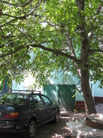 Продам Дом в Верхней Каменке 8 7783397344 - Изображение #1, Объявление #199752