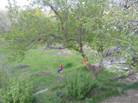 Продам Дом -Дачу - Изображение #4, Объявление #383204