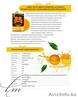 ДИЗАЙН УСЛУГИ/  разработка полиграфии - Изображение #9, Объявление #384897