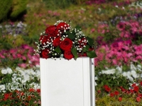 Эксклюзивное оформление праздников - Изображение #9, Объявление #406795