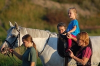 Курсы по ИППОТЕРАПИЯ, альтернативные метод лечение ДЦП - Изображение #1, Объявление #403094