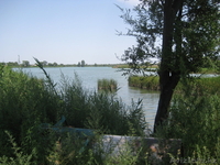 Продам птицевоческое хозяйство  - Изображение #2, Объявление #410038