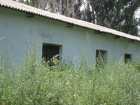 Птицевоческое Хозяйство - Изображение #1, Объявление #413640