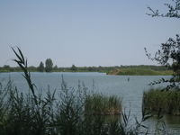 Птицевоческое Хозяйство - Изображение #2, Объявление #413640