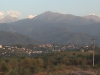 Алматы, личное подсобное хоз-во(ЛПХ) - Изображение #1, Объявление #407291