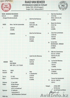 Продам породистого щенка немецкой овчарки из Германии - Изображение #3, Объявление #423597