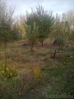 земельный участок 15 соток продам в Илийском районе  - Изображение #1, Объявление #60605