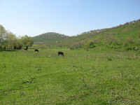 РАЙСКИЙ УГОЛОК ДЛЯ ЖИЗНИ - Изображение #1, Объявление #432892