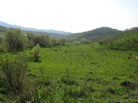 РАЙСКИЙ УГОЛОК ДЛЯ ЖИЗНИ - Изображение #2, Объявление #432892