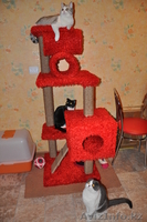 изготовление разборных домиков для кошек - Изображение #2, Объявление #456534