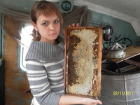 МЕД НАТУРАЛЬНЫЙ! - Изображение #2, Объявление #464871