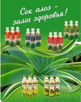 Натуральные соки из серии Алоэ Вера 96% - Изображение #10, Объявление #461771
