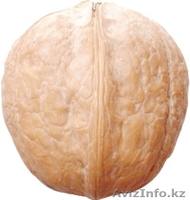 Саженцы (привитые, карликовых, полукарликовых и классических) плодовоягодных. ) - Изображение #5, Объявление #471566