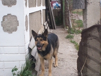 74 Татьяна 25  вильма 1974  - Изображение #1, Объявление #470618