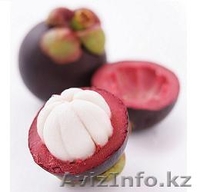 Ксанго — витаминно-минеральный комплекс №1 в мире. - Изображение #9, Объявление #460107