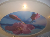 ИП Севрюков Олег Викторович - Изображение #6, Объявление #489428