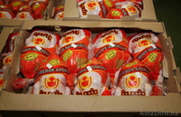 Продам Тушку ЦБ, 1 кат., ГОСТ (Беларусь) - Изображение #2, Объявление #499691