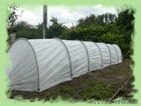 Синтетические и полиамидные мочалки, парники, перчатки - Изображение #3, Объявление #499693