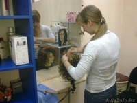 Школа парикмахерского искусства Игоря Решетникова - Изображение #2, Объявление #421899