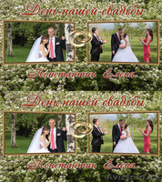 3D-фотосъемка, 2D-фотосъемка свадебная профессионально - Изображение #4, Объявление #598213