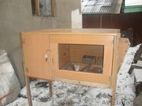 Клетки для кроликов. - Изображение #1, Объявление #579966
