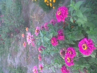 Срочно, торг. Илийский р-н, п Байсерке, Кенжекулова 4 - Изображение #8, Объявление #564052